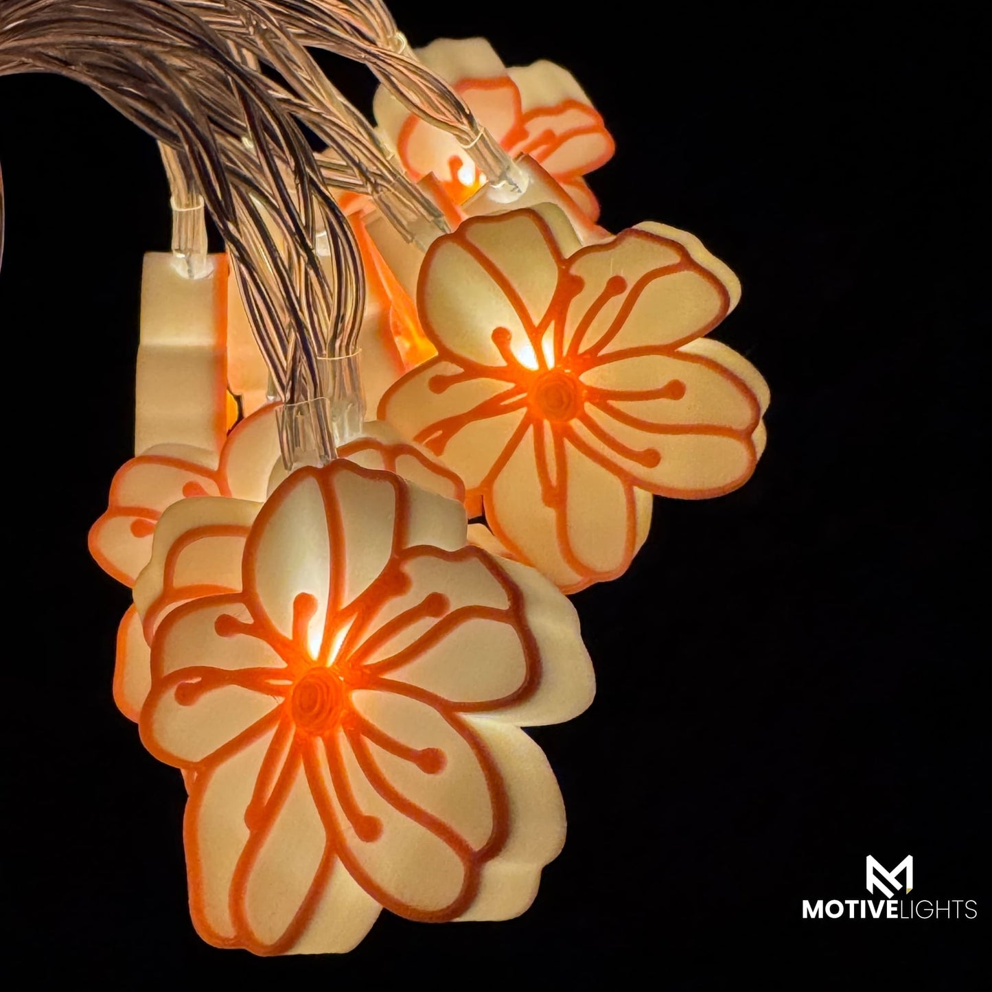 Mandelblüten Lichterketten Pfalz