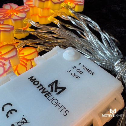 Mandelblüte Lichterkette