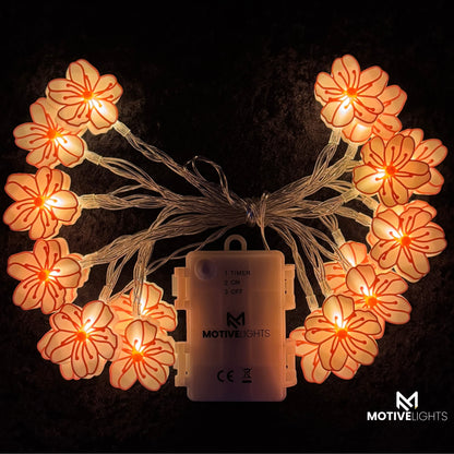 Mandelblüte Lichterkette